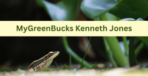 MyGreenBucks Kenneth Jones – What Sets His Financial Advice Apart