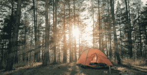 Everything You Need to Know About Tarnplanen