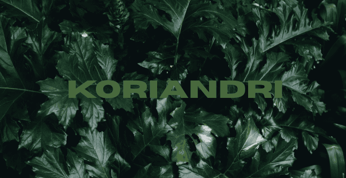 Koriandri – Complete Overview & Meaning